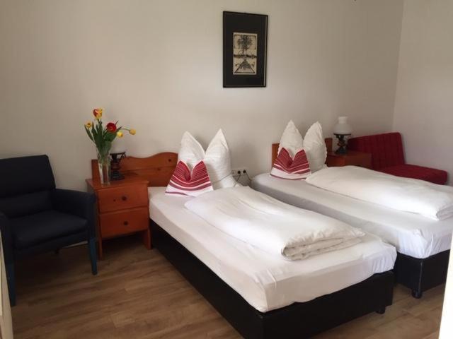 Cicaskacus Vendeghaz Bed & Breakfast Matrafured Dış mekan fotoğraf