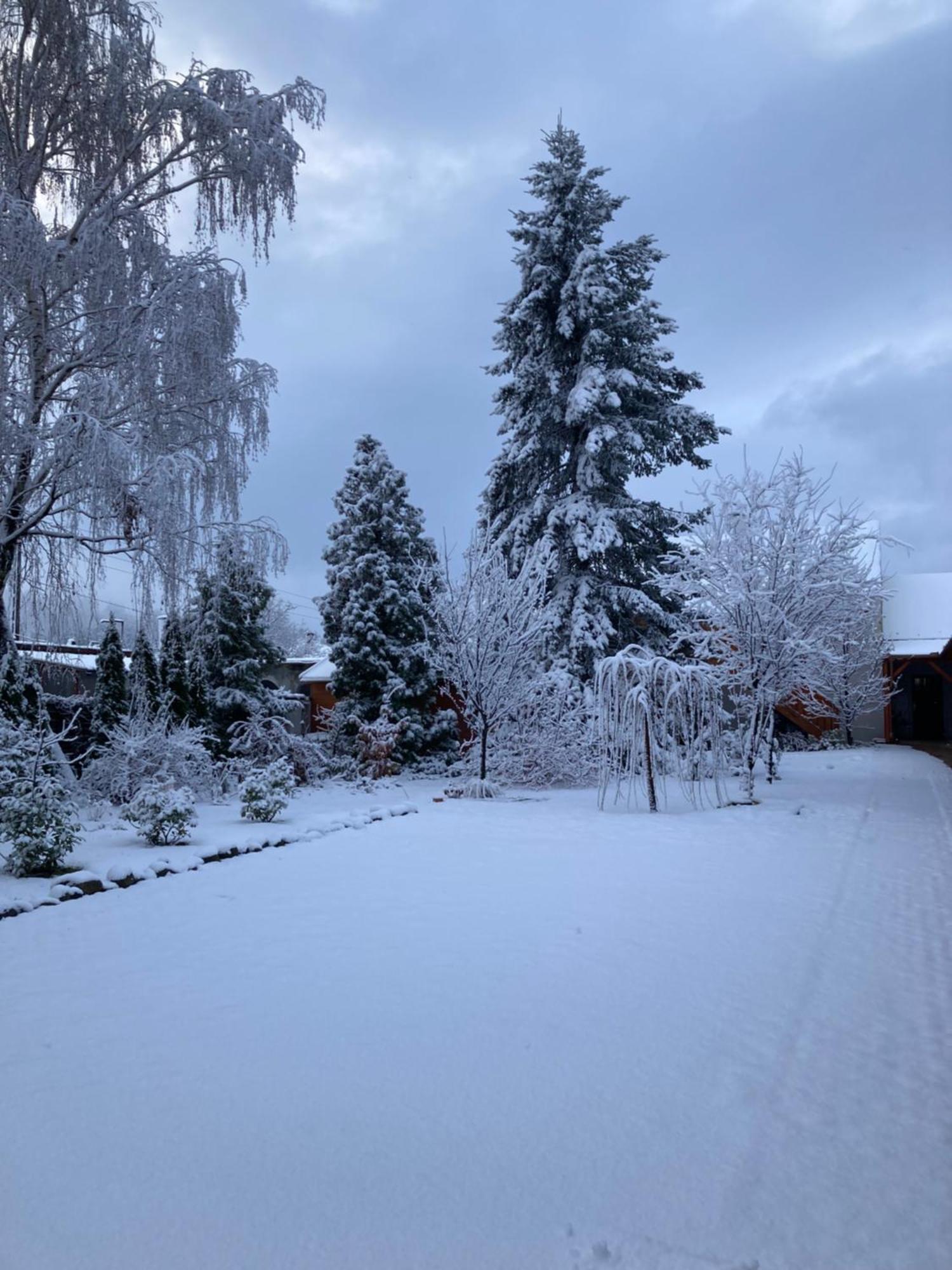 Cicaskacus Vendeghaz Bed & Breakfast Matrafured Dış mekan fotoğraf